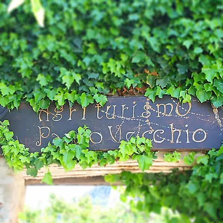 Agriturismo Parco Vecchio-3