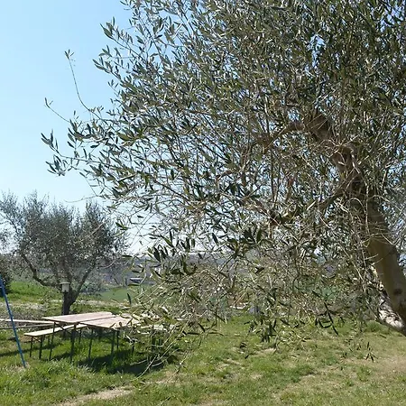 Agriturismo Il Merollo-2