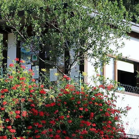 Elbadoc Camping Village-2
