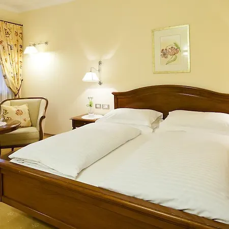 Hotel Aster-2