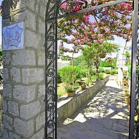 Cavalluccio Marino-3