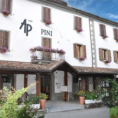 Hotel Pini-2