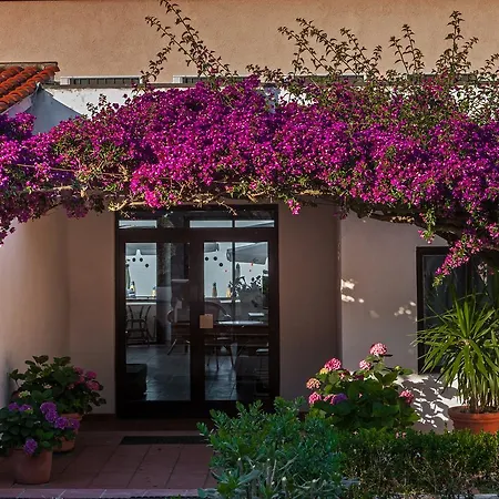 Drago Residence-2