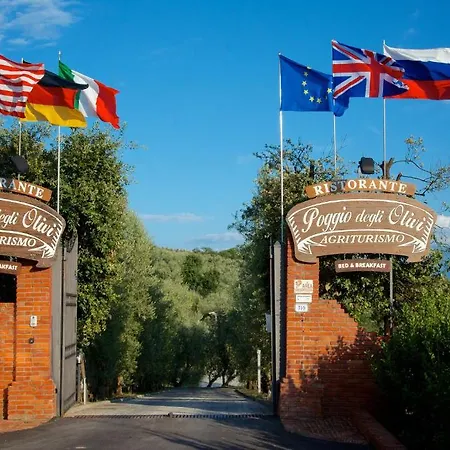 Poggio Degli Olivi-2