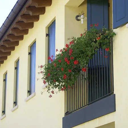 Sant'Andrea Agriturismo con cantina Martignago Vignaioli Asolo Prosecco Docg Wines-3