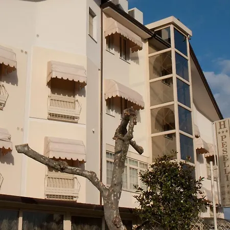 Hotel Peselli-3