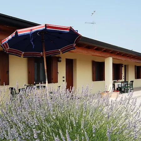 Agriturismo Tenuta Regina - Glamping luxury lodges&apartments-3
