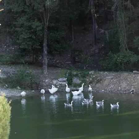 Tenuta La Bandita-2