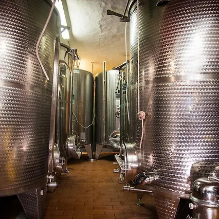 Luce di Vino-2