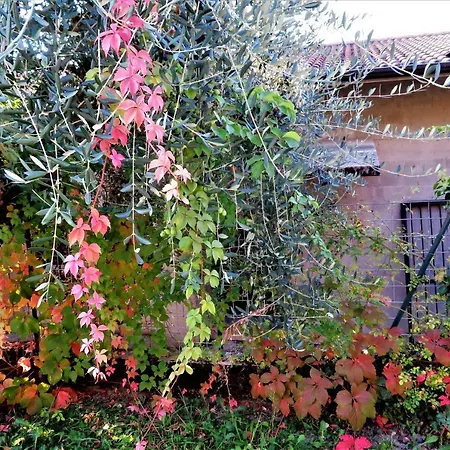 Locanda Alla Posta-3