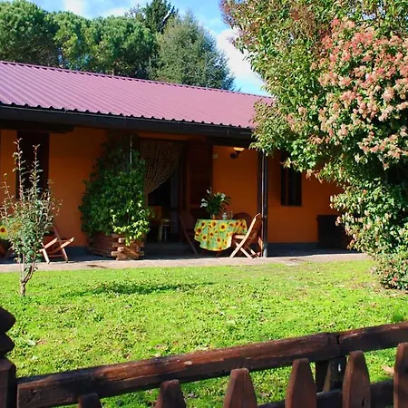 Azienda Agricola Armando Iacchelli-2