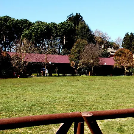 Azienda Agricola Armando Iacchelli-3
