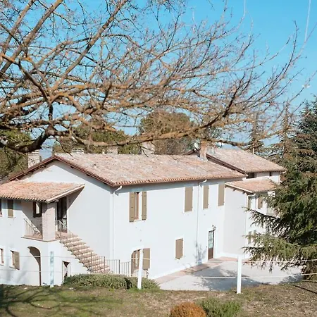 Fontepino-2
