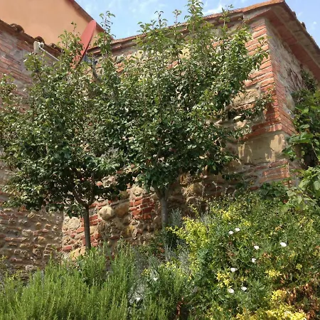 Agriturismo Pieve de Pitti-2