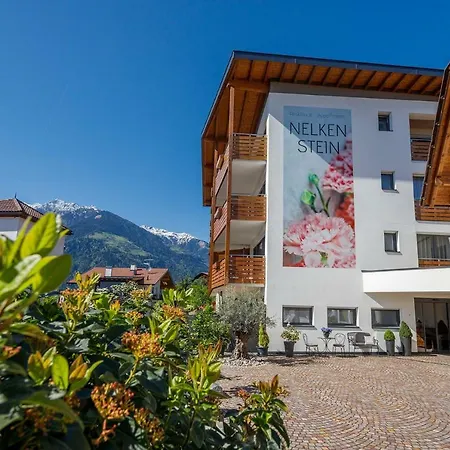 Residence Apartment Nelkenstein-2