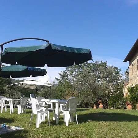 Le Mimose B&B-2