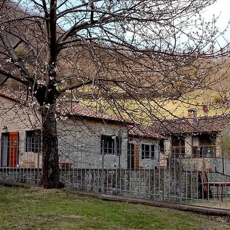Il Castiglione Agriturismo Bio-2
