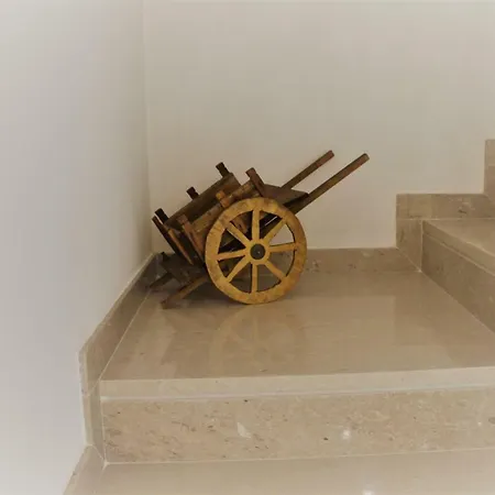 Cocciu D'Amuri-2