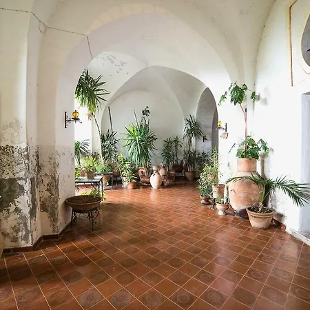B&B Bouganville-2