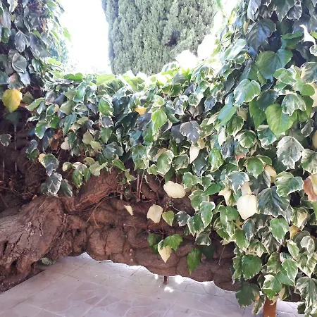 La mia Resilienza nei Sassi di Matera-2