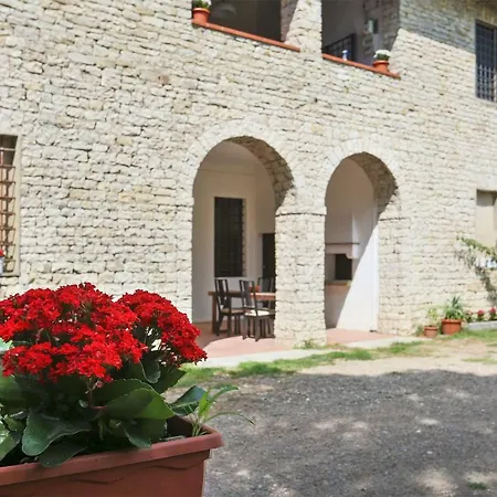 Mondo Pazzo-2