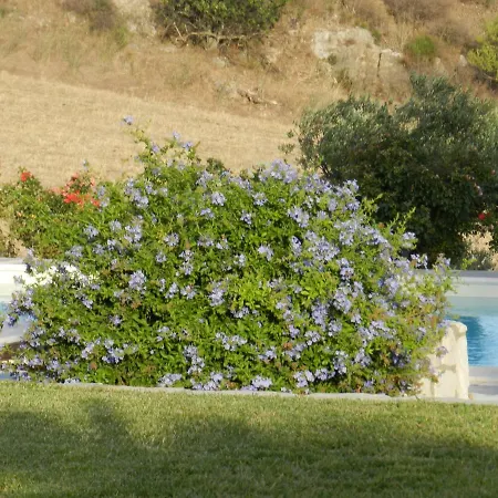 Agriturismo Masseria Acque Di Palermo-3