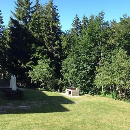 Val di Luce - Delizioso appartamento 6 posti letto - Accesso diretto alle piste da sci-3