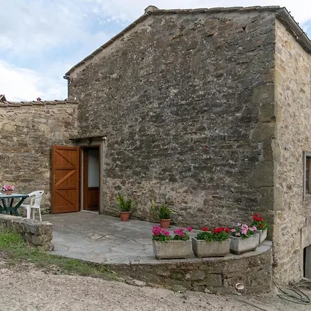 Fattoria di Cintoia-3
