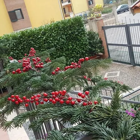 B&B Rossella-3