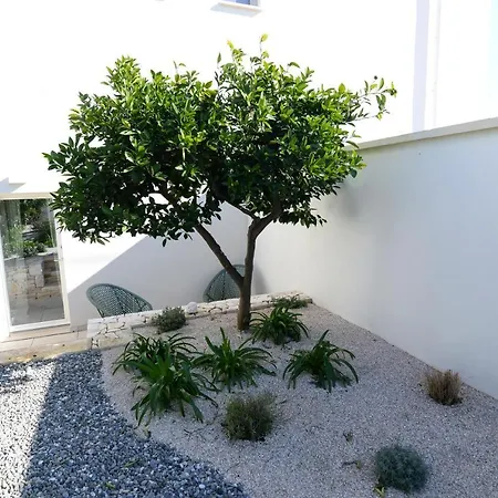 Anpati House Resort-2