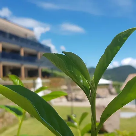 Aparthotel Malga-3