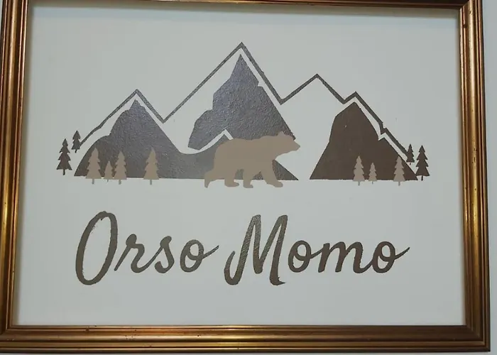 Orso Momo