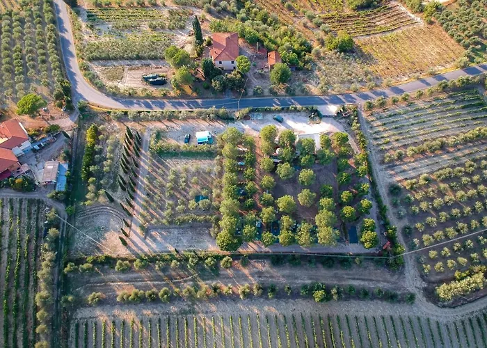 AGRiCAMPiNG POGGiO Ai PiNi WiNE