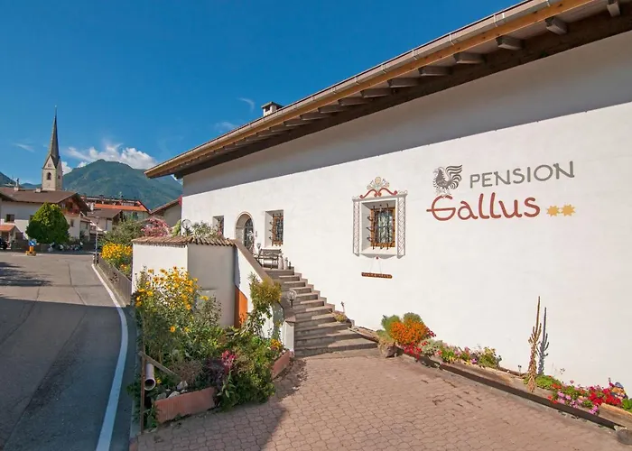 Pension Gallus