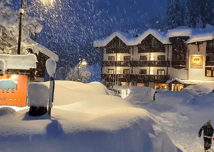 Hotel Montana