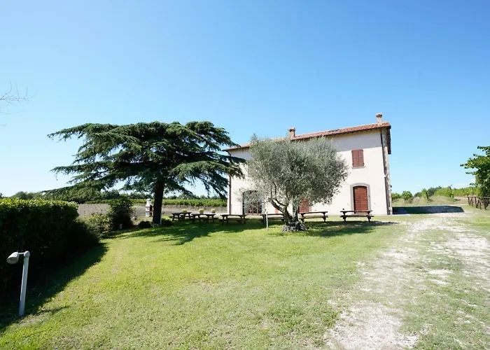 Vigna Sul
