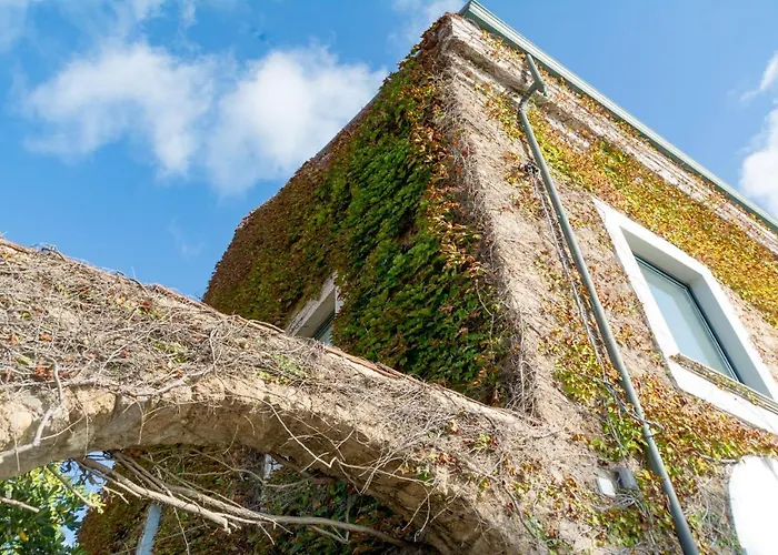 La Belle Vie B&B