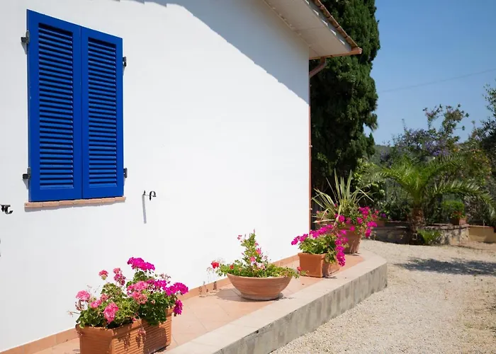 Le Palme