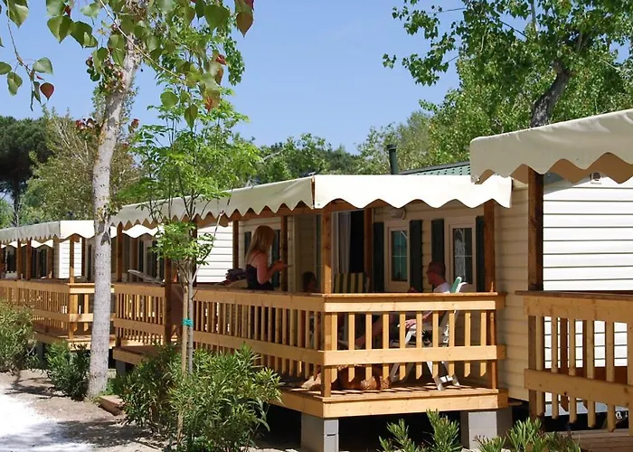 Chalet 4 Or 6 Persons Toscana Viareggio Camping Bosco Verde Italie