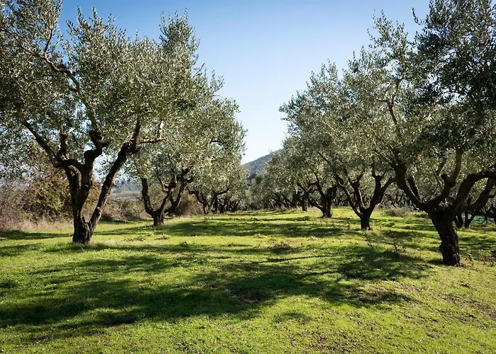 La Rocca Dei Briganti