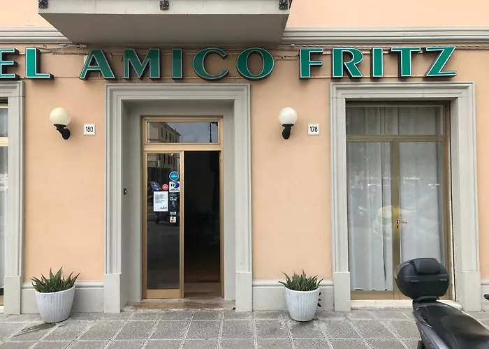 Amico Fritz