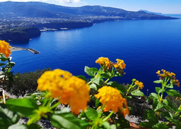 Bella Vista House-Sorrento coast - free parking-solarium