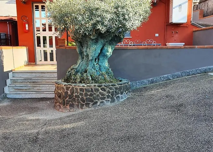 Bed & Breakfast Neapolis
