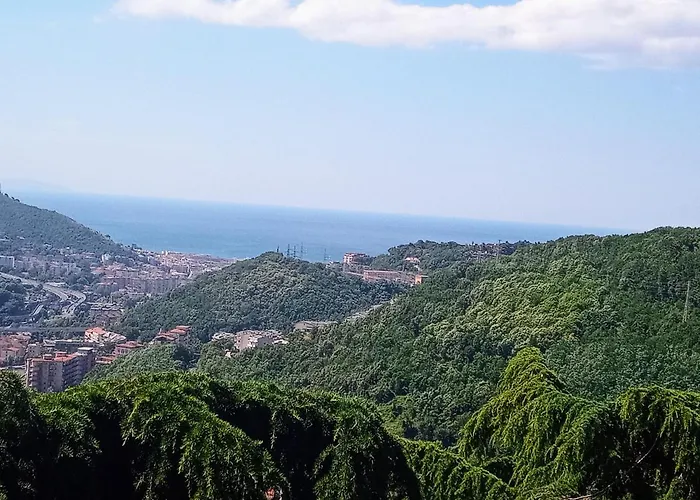Collina Belvedere