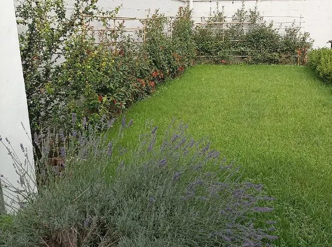 La Suite Della Casa Bianca