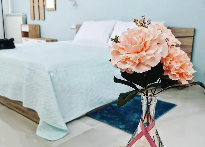 La Suite Della Casa Bianca