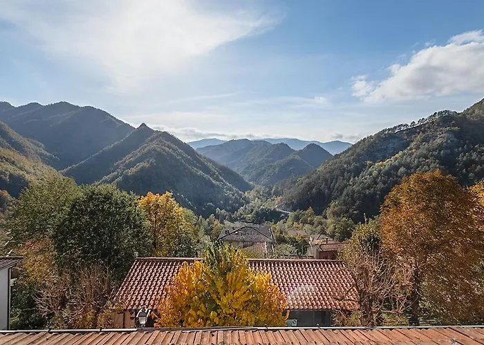 Hotel Pini