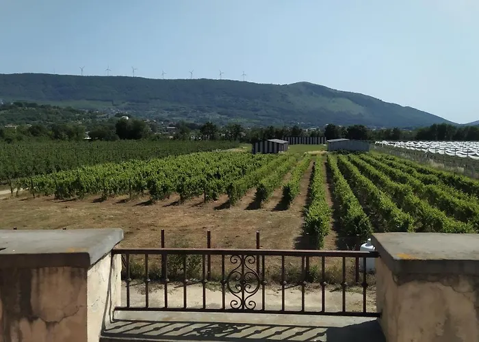 Agriturismo Il Casale del Cavaliere