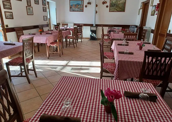 Il Pettirosso
