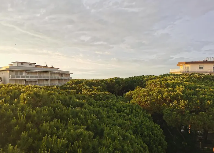 Hotel Pine Beach